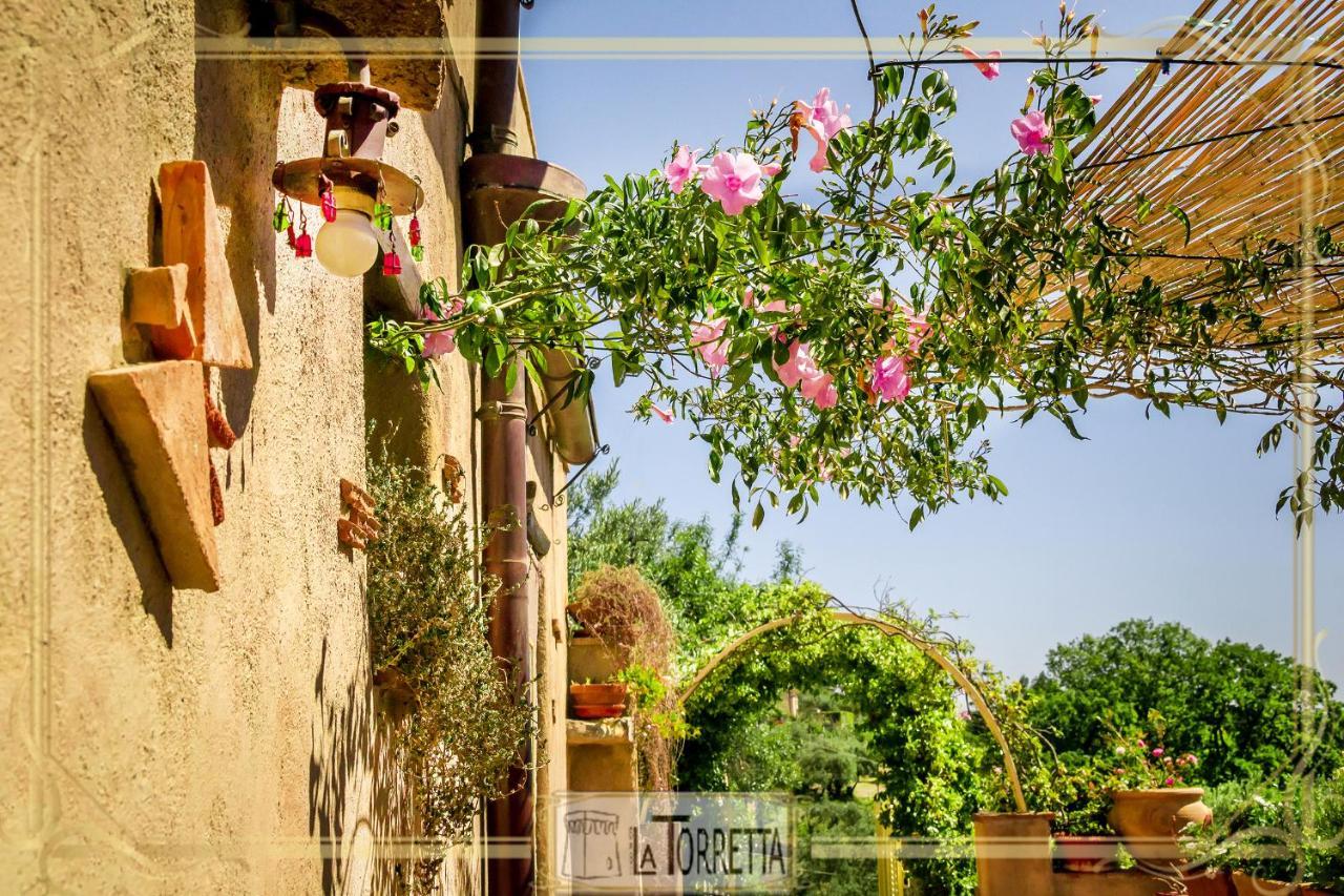 B&B La Torretta Maratea Exterior foto